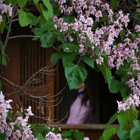 마이 러브 인 리장 외부 사진