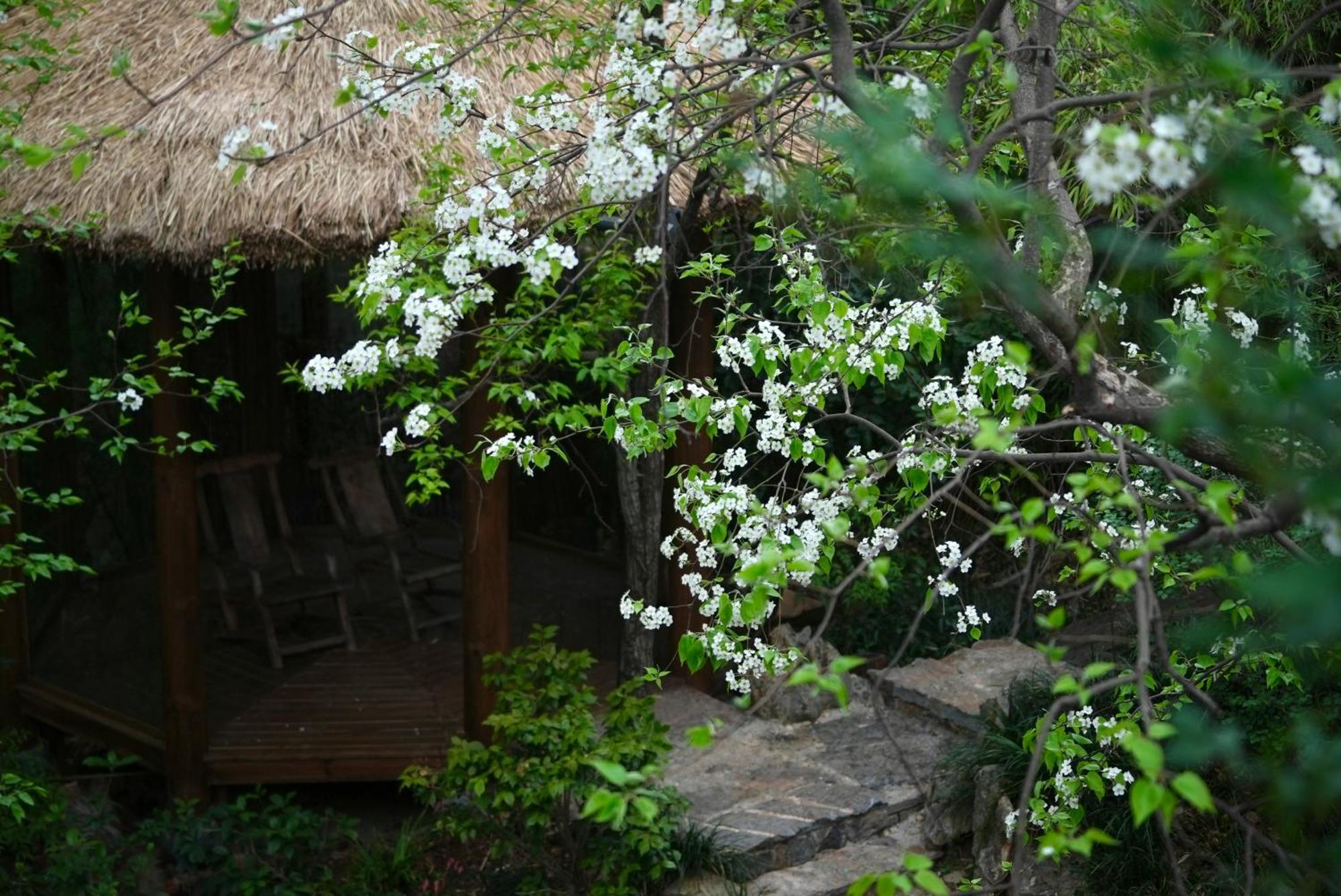 마이 러브 인 리장 외부 사진