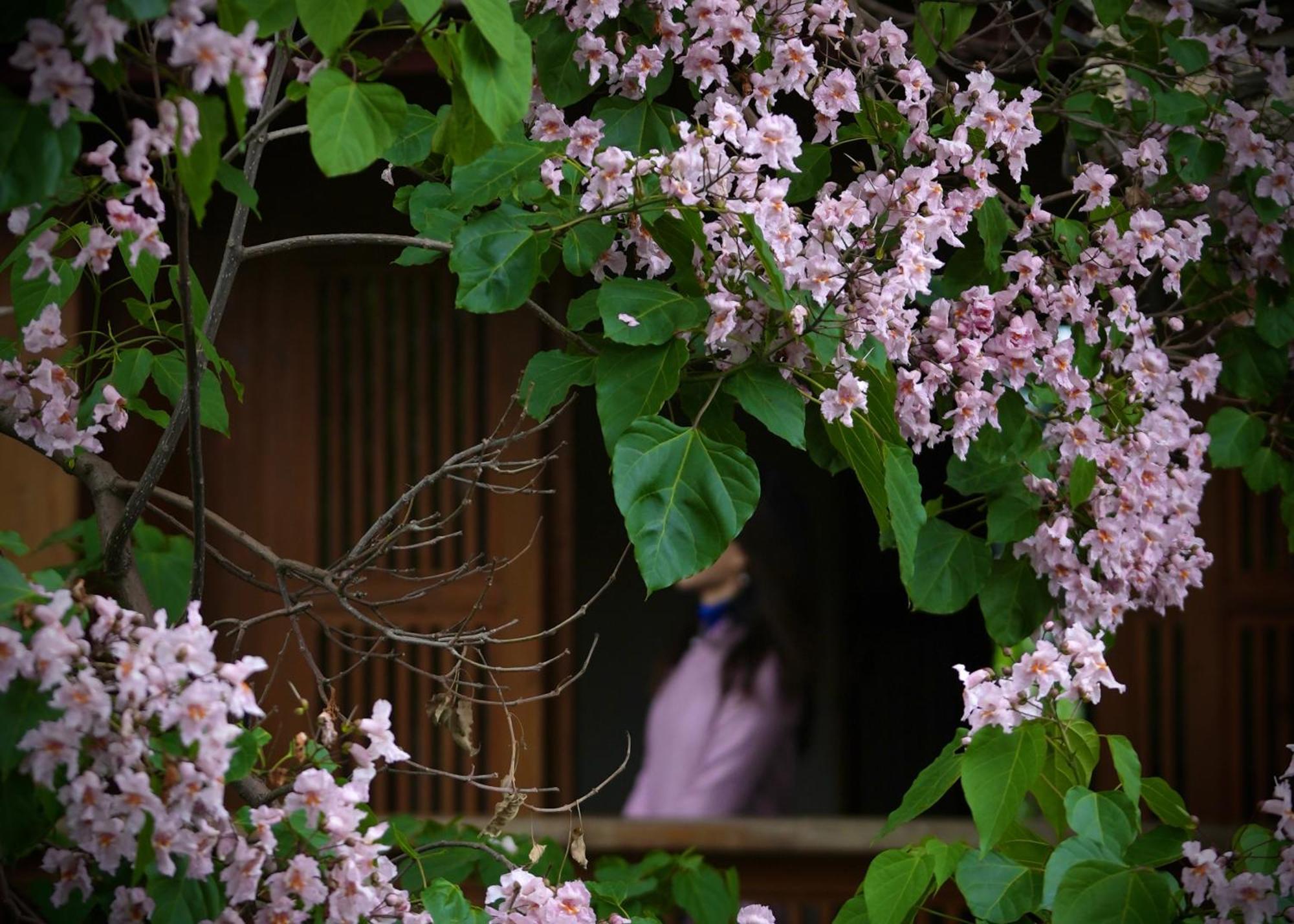 마이 러브 인 리장 외부 사진
